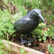 Vogelverschrikker Vogelverjager Kraai 36,2 Cm Polyetheen