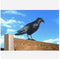 Vogelverschrikker Vogelverjager Kraai 36,2 Cm Polyetheen