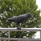 Vogelverschrikker Vogelverjager Kraai 36,2 Cm Polyetheen