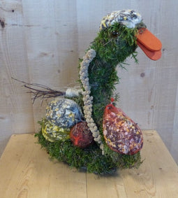 Vogelvoer figuur zwaan