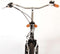 Volare Lifestyle Herenfiets - Man - 48 centimeter - Satijn Zwart - Shimano Nexus 3 versnellingen