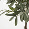 Mica Decorations Olijf Kunstplant in Bloempot - H75 x Ø15 cm - Lichtgroen
