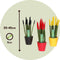 Plant in a Box - Sansevieria Cylindrica - Velvet Touch - Mix van 3 - Gemakkelijke kamerplant - Pot 9cm - Hoogte 20-40cm