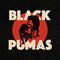 Black Pumas - LP - Debuutalbum