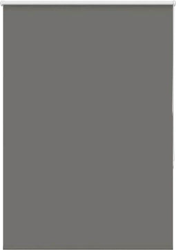 vidaXL - Rolgordijn - verduisterend - 100x130cm - stofbreedte - 95,7cm - polyester