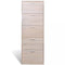 vidaXL - Schoenenkast - 5 opbergvakken - eiken-look