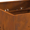 vidaXL - Vierkante - Vuurplaats - 60x60x30 - cm - Weervast - Staal