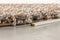 Zuiver Zest Vloerkleed 160x230 - Grijs