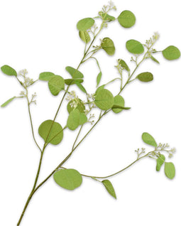 Silk-ka Kunstbloem-Zijden Bloemen Eucalytus Tak Groen 84 cm