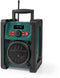 Nedis RDDB3100GN - Bouwradio - DAB+ FM Bluetooth - IP65