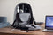 XD Design Bobby Hero Regular - Anti-Diefstal Rugzak 18L - Grijs