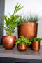 Capi Europe - Vaas bol Retro Gold & Copper - 12x10 - Koper - Opening Ø8.5 - Bloempot voor binnen - 5 jaar garantie - BRTC109