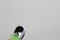 Sony INZONE Buds - Draadloze Gaming Oordopjes - ANC 360 Ruimtelijk Geluid - Wit Zwart