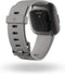Fitbit Versa 2 - Smartwatch - Spraakbediening en muziekopslag - Zilver