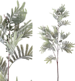 PTMD Leaves Plant Mimosablad Kunsttak - 70 x 40 x 125 cm - Groen