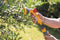 Hozelock Superhoze Plus - Uitrekbare Tuinslang 5-15m - Verstelbare Tuinspuit + Rose Spraygun