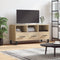 vidaXL - Tv-meubel - 102x36x50 - cm - bewerkt - hout - sonoma - eikenkleurig