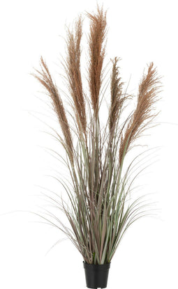 J-Line pampas gras 5 koppen in pot - kunststof - groen/oranje - small