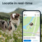 Tractive DOG XL - GPS, Gezondheid & Activity Tracker voor honden - Past op meeste halsbanden - Waterdicht - Groen
