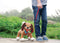 Peppy Pups Bruine honde - Mijn hond Peppy
