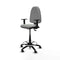 Piqueras y Crespo B1D01RP - Bureaustoel - Hoogteverstelbaar met armleuning - Lichtgrijs