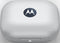 Motorola Moto Buds - In-ear oordopjes - ANC - Blauw