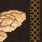 Thea Gouverneur - Borduurpakket met telpatroon - 3017.05 - Voorgesorteerde DMC Garens - Honingbij - Zwart Aida - 17 cm x 18 cm - DIY Kit