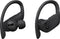 Beats Powerbeats Pro - Draadloze Oortjes - Zweet- en waterbestendig - Zwart