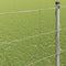 vidaXL - Veldhek - 1.4x25 - m - Gegalvaniseerd - Staal