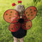 Great Pretenders Verkleedkledij Lieveheersbeestje hoofdband met vleugels -Vanaf 3 jaar - Rood