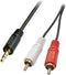 Lindy 35682 - Cinch / Jackplug Audio Aansluitkabel - 2x RCA naar 3,5 mm - Zwart