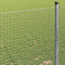 vidaXL - Gelast - Draadhek - 1,4x25 - m - Gegalvaniseerd - Staal