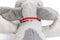 Beeztees XL-Knuffel Ties - Hondenknuffel - Pluche - Wit - 48x46x11 cm