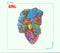 Love Forever Changes - CD - Expanded Versie - Speelduur 66:25 (1 stuk)