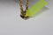 GUESS Crazy In Love - Armband - Hart hanger - Yellow Gold (goudkleurig)