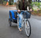 Bicycle Gear Hondenfietskar - Fietskar - Tot 40kg - Blauw