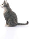schleich FARM WORLD - Kat, zittend - 13771