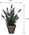 Mica Decorations Lavendel - Kunstplant in Bloempot - Natuurgetrouw ontwerp - Blauw (1 stuk)