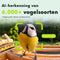 BIRDFY Bamboo 7 Days - Vogelvoederhuisje - Camera AI - Wit