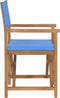 vidaXL - Regisseursstoel - massief - teakhout - blauw