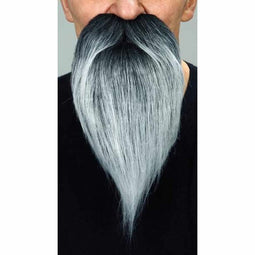 Valse baard My Other Me Grijs