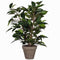 Mica Decorations groene ficus kunstplant - 40 cm - Kunstplanten voor binnen