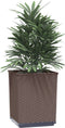 vidaXL - Plantenbakken - 2 - st - 30x30x37 - cm - polypropeen - bruin