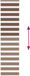 vidaXL - Zebra - rolgordijn - 55x230 - cm - stofbreedte - 50,9 - cm - polyester - bruin