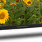 Thomson 24HA2S13C - HD Android TV 24