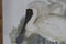 Schilderij DKD Home Decor Vogels Orientaals 45 x 3 x 60 cm (4 Stuks)