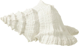 J-Line decoratie Zeeschelp - polyresin - wit