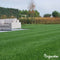 Schaduwgazon Graszaad (5kg, 250m2) - Graszaad Schaduw - Graszaad Snelkiemend - Organifer Elegant - Schaduw Graszaad - NAK Gecertificeerd - Zeer hoge schaduw en droogte tolerantie - Ideaal voor Aanleg & Herstel in Schaduw