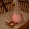 Little Dutch - Newborn Knuffelgans - Licht & Geluid - Wit