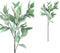 PTMD Leaves Plant Eucalyptus Kunsttak - 44 x 30 x 85 cm - Grijs/Groen